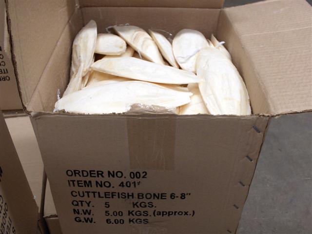 AVIONE 5KG BOX A GRADE NATURAL CUTTLEBONE AVIONE 5KG BOX A GRADE NATURAL CUTTLEBONE