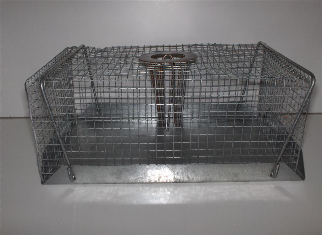 MOUSE TRAP LARGE 20×10×12CM MOUSE TRAP LARGE 20×10×12CM