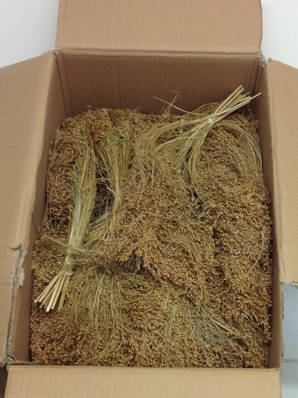 AVIONE 10KG BOXED RED MILLET - Click Image to Close