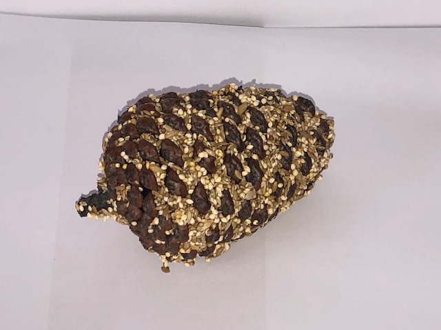 Small Pinecone seed treat w fine seed & hook Small Pinecone seed treat w fine seed & hook