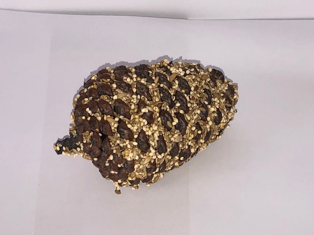 Large pinecone seed treat w fine seed & hook - Click Image to Close