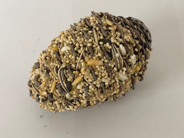 Small pinecone w small parrot seed mix & hook