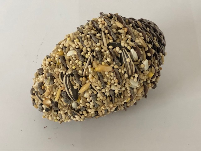 Small pinecone w small parrot seed mix & hook Small pinecone w small parrot seed mix & hook