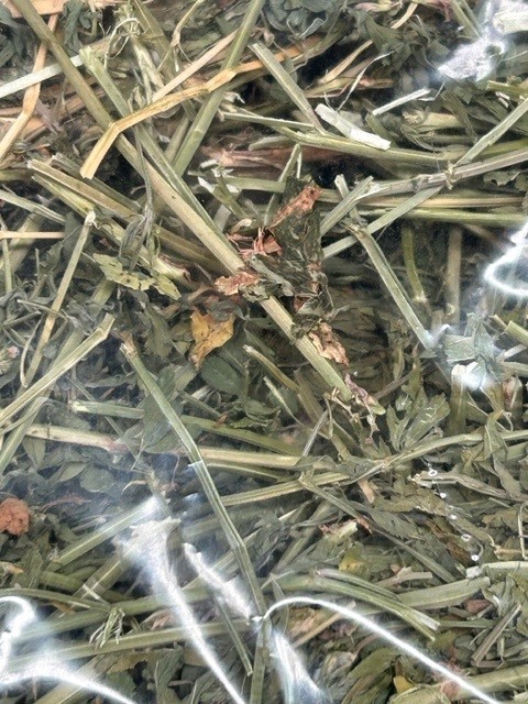 500g Lucerne