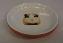CERAMIC BOWL TERRACOTTA COLOUR W/ MOTIF 10x2cm CERAMIC BOWL TERRACOTTA COLOUR W/ MOTIF 10x2cm