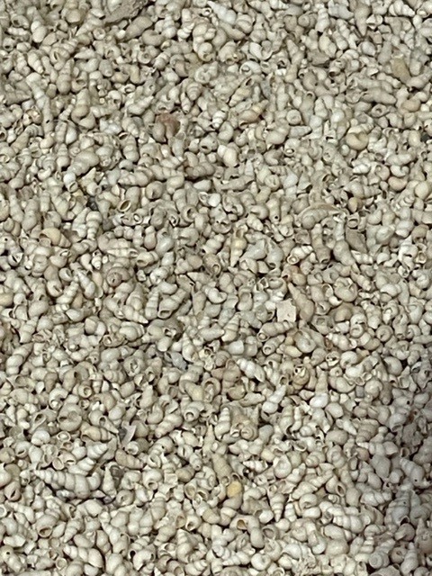 20kg Canunda Grit BULK