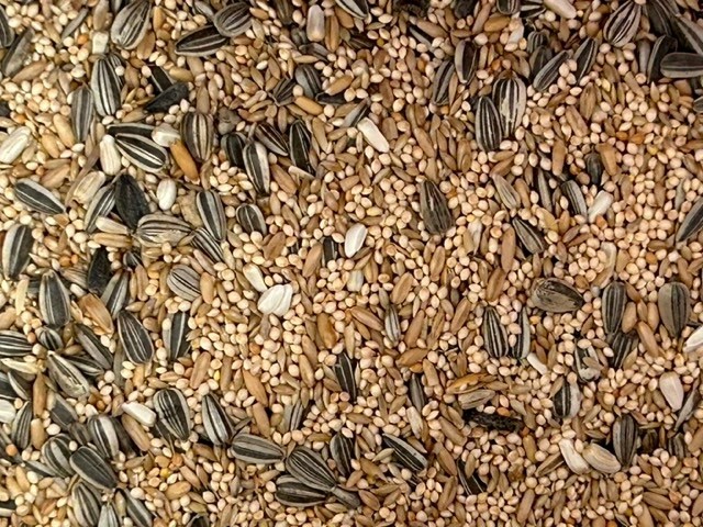 1kg Peachface Cockatiel Seed Mix