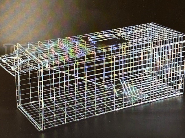 LARGE CAT FOX COLLAPSIBLE RELOCATOR 79x33x28cm LARGE CAT FOX COLLAPSIBLE RELOCATOR 79x33x28cm