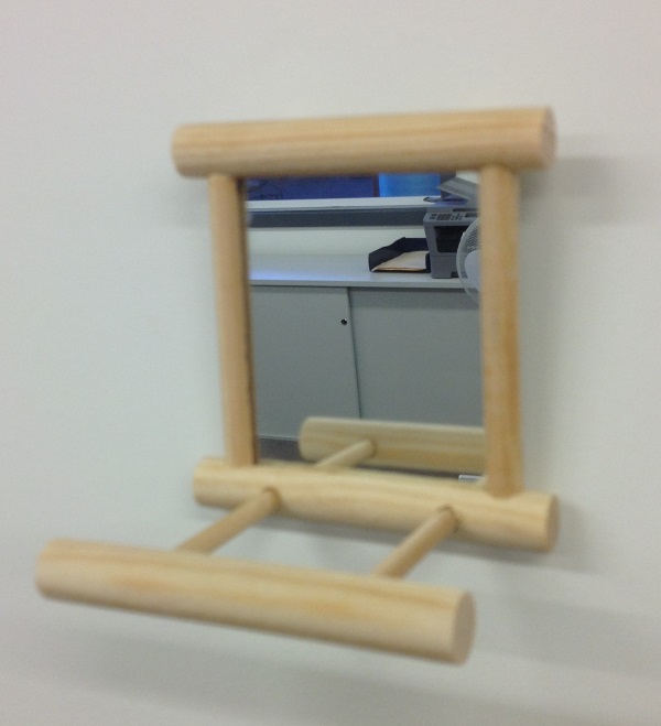 WOODEN FRAMED MIRRORED TOY W/LANDING PERCH