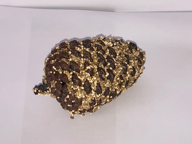 Large pinecone seed treat w fine seed & hook